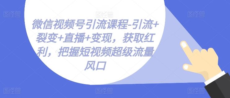 微信视频号引流课程-引流+裂变+直播+变现，获取红利，把握短视频超级流量风口-花生资源网