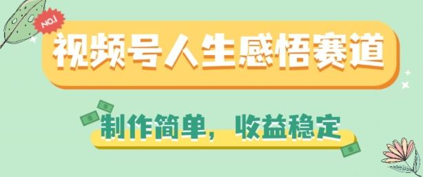 视频号人生感悟赛道，制作简单，收益稳定【揭秘】-花生资源网