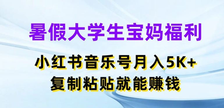 暑假大学生宝妈福利，小红书音乐号月入5000+，复制粘贴就能赚钱【揭秘】-花生资源网