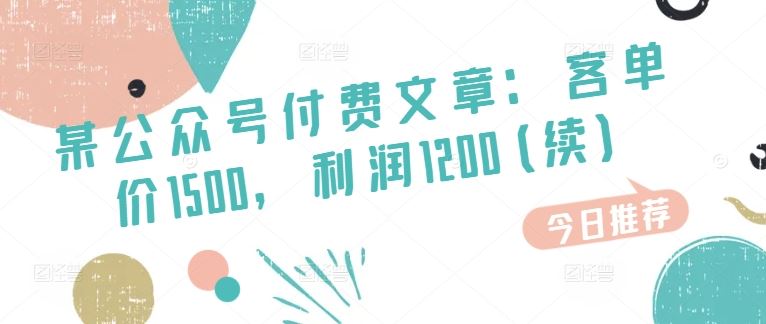 某公众号付费文章：客单价1500，利润1200(续)，市场几乎可以说是空白的-花生资源网