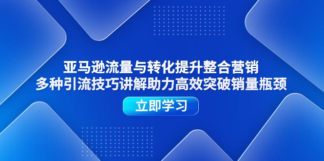 （11335期）亚马逊流量与转化提升整合营销，多种引流技巧讲解助力高效突破销量瓶颈-花生资源网