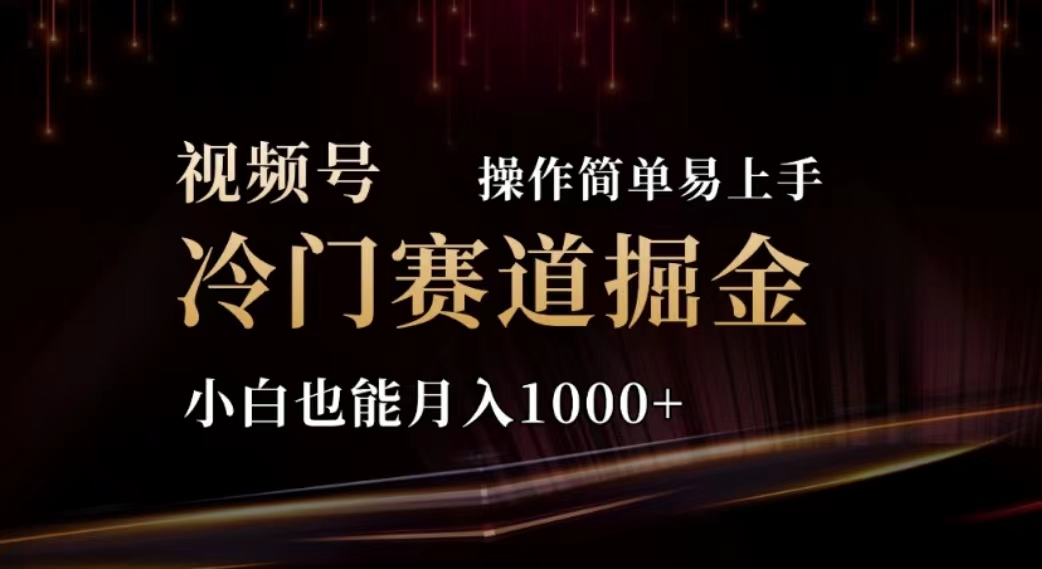 （11378期）2024视频号冷门赛道掘金，操作简单轻松上手，小白也能月入1000+-花生资源网