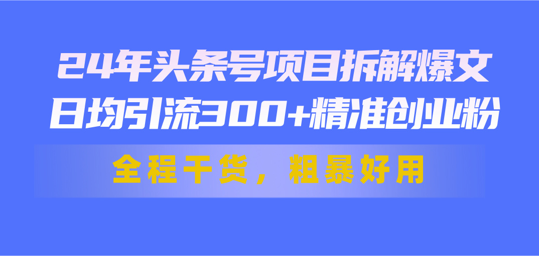 （11397期）24年头条号项目拆解爆文，日均引流300+精准创业粉，全程干货，粗暴好用-花生资源网