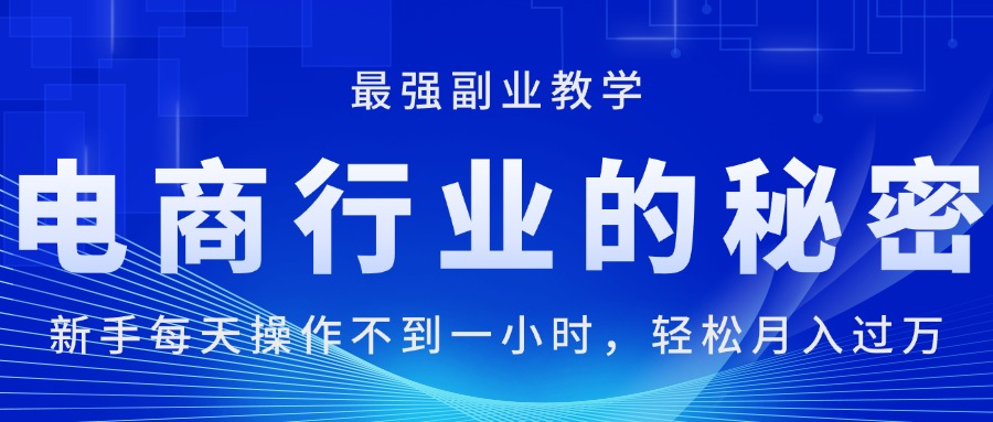 （11427期）电商行业的秘密，新手每天操作不到一小时，月入过万轻轻松松，最强副业…-花生资源网