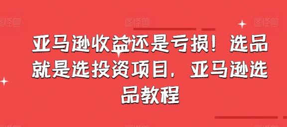 亚马逊收益还是亏损！选品就是选投资项目，亚马逊选品教程-花生资源网