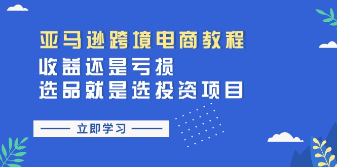 （11432期）亚马逊跨境电商教程：收益还是亏损！选品就是选投资项目-花生资源网