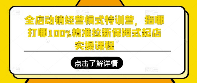 全店动销经营模式特训营，指哪打哪100%精准拉新保姆式起店实操课程-花生资源网