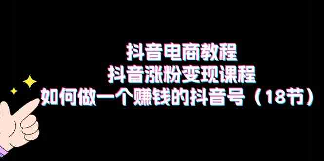 抖音电商教程：抖音涨粉变现课程：如何做一个赚钱的抖音号（18节）-花生资源网