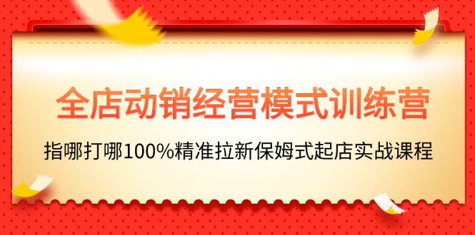 （11460期）全店动销-经营模式训练营，指哪打哪100%精准拉新保姆式起店实战课程-花生资源网