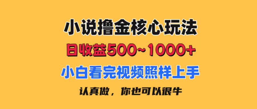 （11461期）小说撸金核心玩法，日收益500-1000+，小白看完照样上手，0成本有手就行-花生资源网